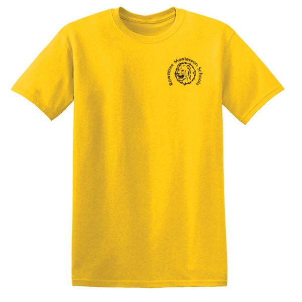 Gym T-Shirt - LIONS - RTM