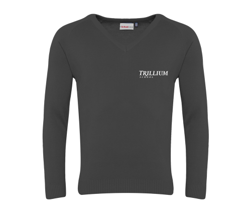 V Neck Sweater - TTS
